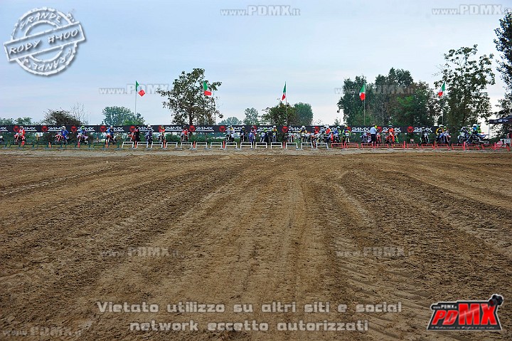 _DSC1984 (Copy).jpg